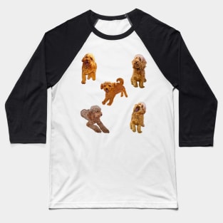 Cavapoo Cavoodle puppy pattern -puppies galore ! cute cavalier king charles spaniel Baseball T-Shirt